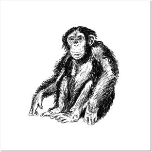 Chimpanzee Posters and Art